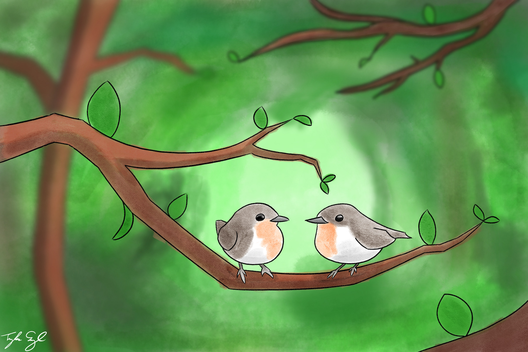 Birds